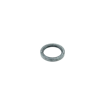 O-ring with dust lip for vacuum pump